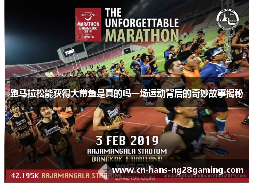 跑马拉松能获得大带鱼是真的吗一场运动背后的奇妙故事揭秘