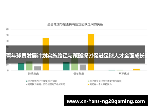 青年球员发展计划实施路径与策略探讨促进足球人才全面成长