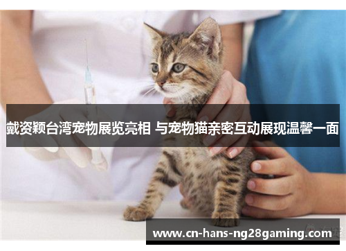 戴资颖台湾宠物展览亮相 与宠物猫亲密互动展现温馨一面 戴资颖台湾宠物展览亮相 与宠物猫亲密互动展现温馨一面