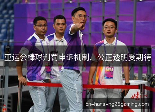 亚运会棒球判罚申诉机制，公正透明受期待