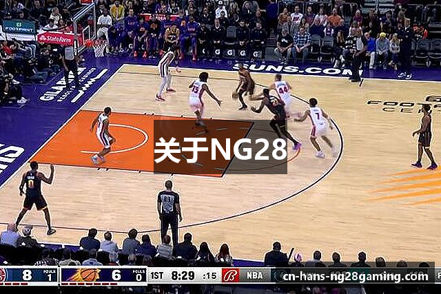 关于NG28